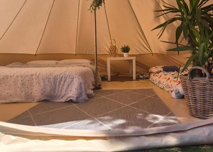 Avec Piscine Privative Hébergement de vacances Salviac